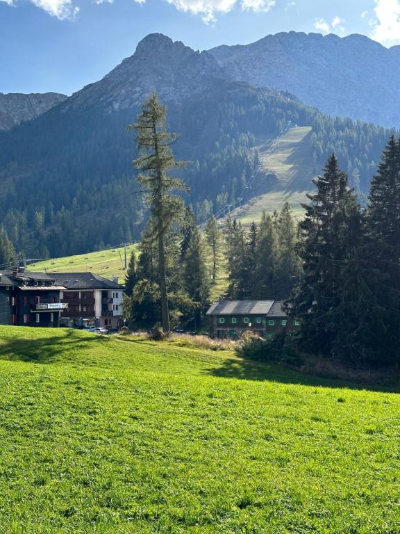 un campo verde con casas y montañas en el fondo en COSTALUNGAHOUSE TrekkingBikeSki selfcheck-in apartment en Carezza al Lago
