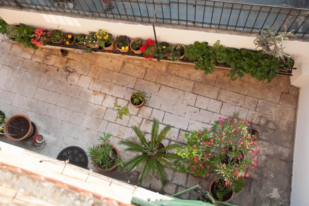 En hage utenfor Rooms Split Pezelj