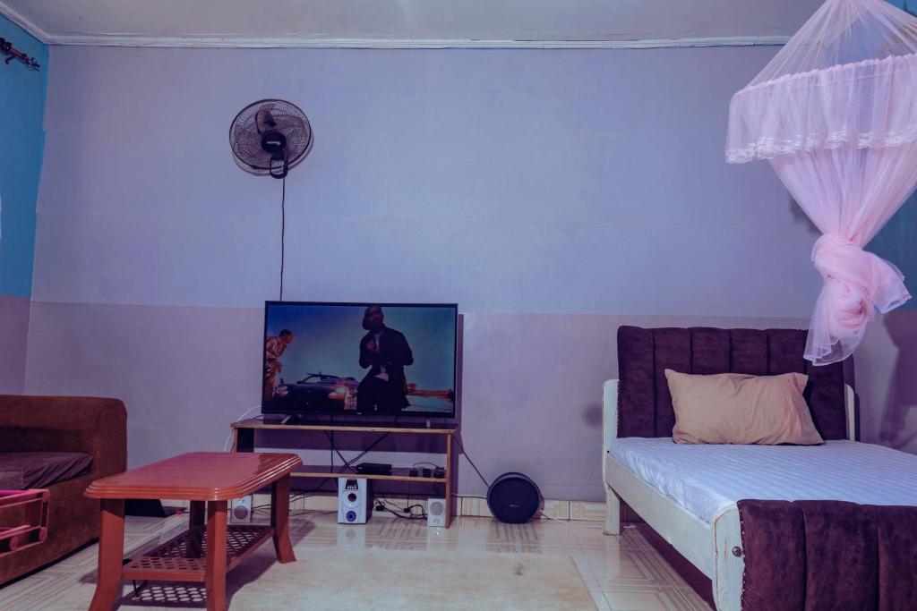 洛德瓦爾的住宿－Amadius，一间卧室配有一张床、一台电视和一张桌子
