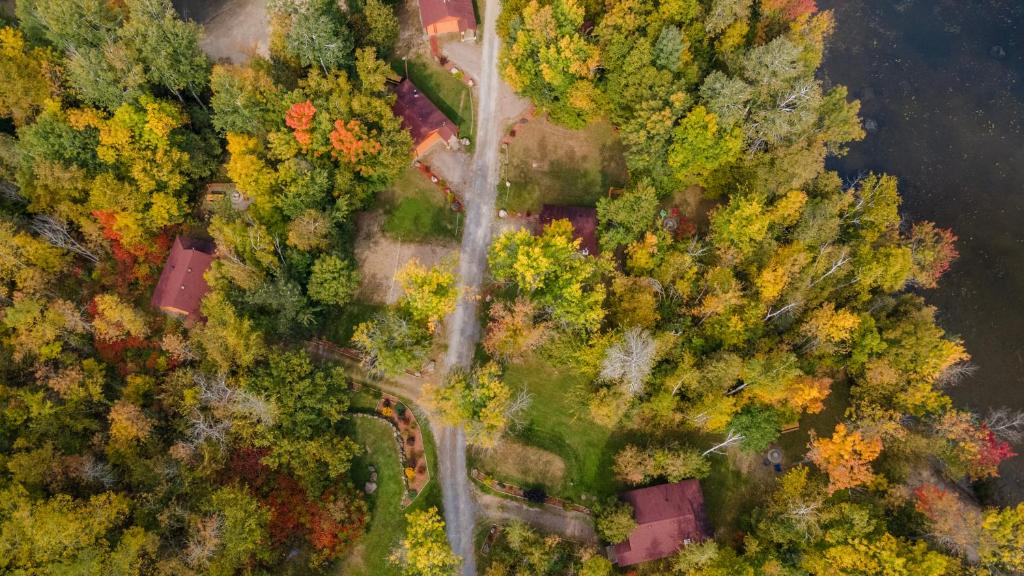 una vista aérea de una carretera en un bosque en Lakepoint Cottage Resort en Killaloe Station