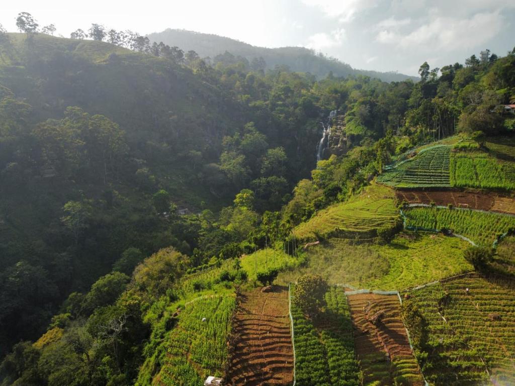 an aerial view of a mountain with green plantations at Blue Heaven Cottage in Ella