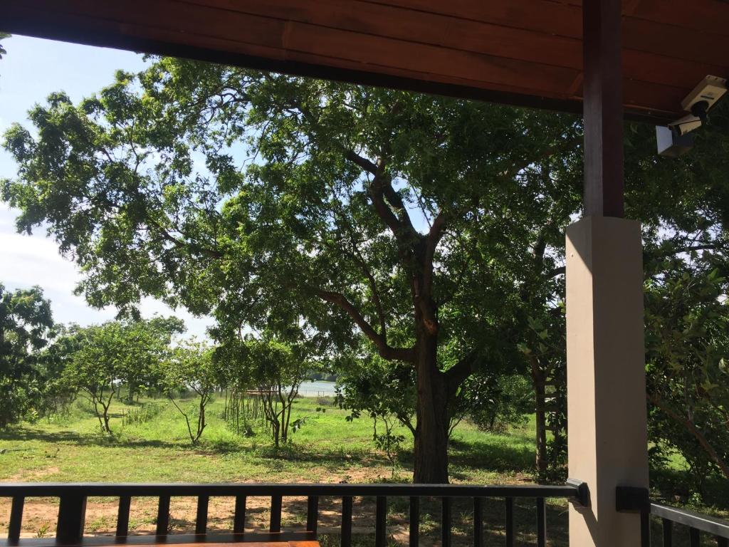 Saffron Lake Yala - 9