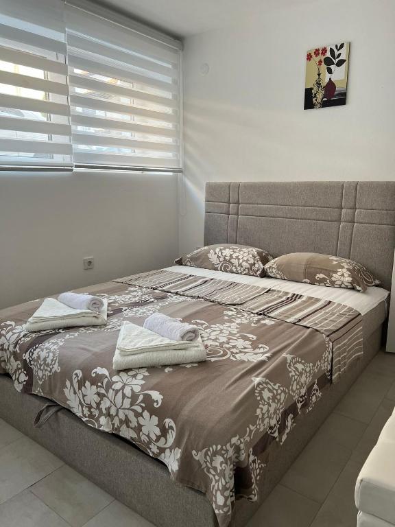 Alex Studio, Niš (updated prices 2024)