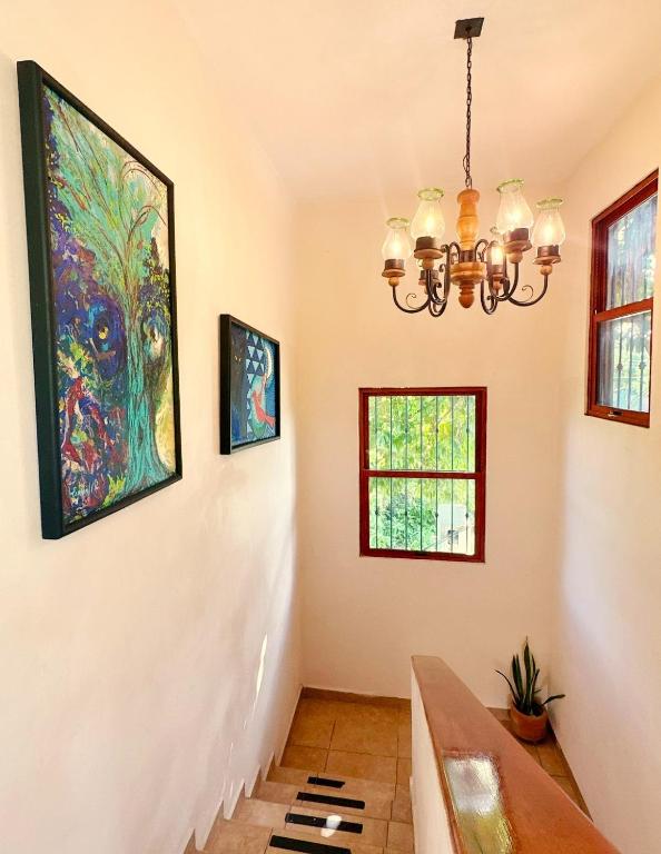 Fotografie z fotogalerie ubytování El Roble Hotel v destinaci Bacalar