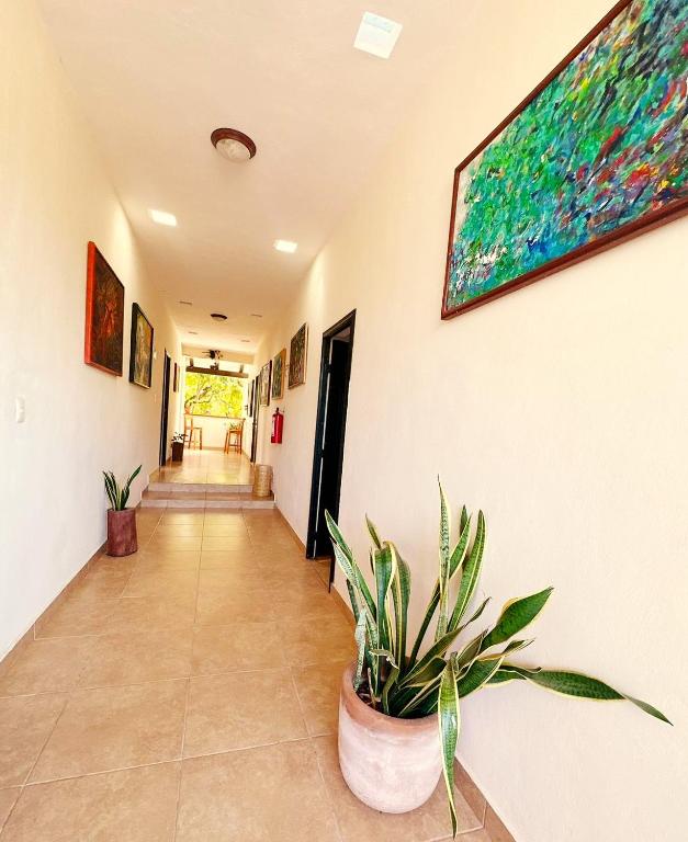 Fotografie z fotogalerie ubytování El Roble Hotel v destinaci Bacalar