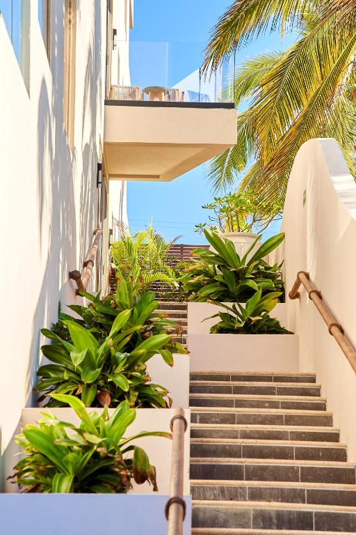 Fotografie z fotogalerie ubytování Hotel Basalto v destinaci Punta Mita