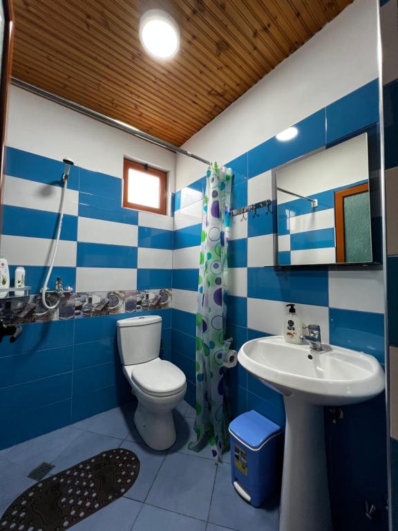 a blue and white bathroom with a toilet and a sink at Guesthouse Emiljano in Berat