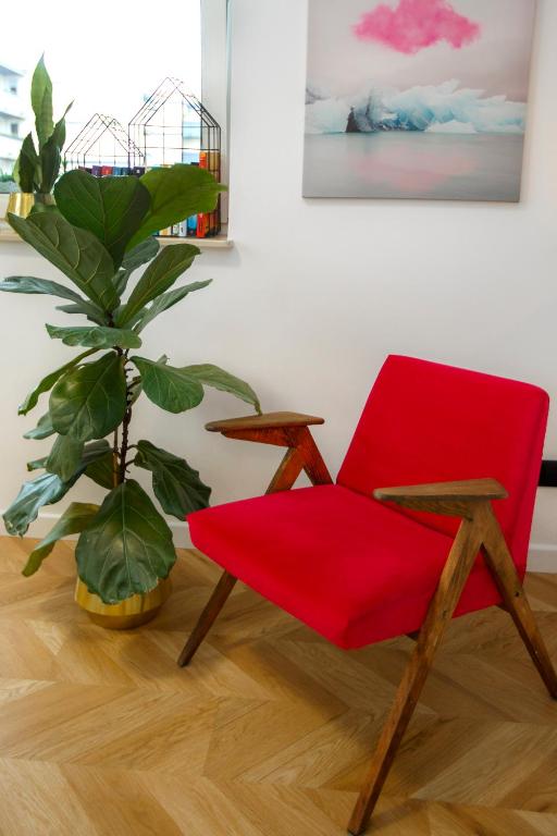 Bochenka Apartments - 5