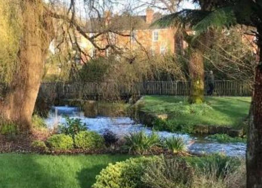 a garden with a stream in front of a house at Millstream House in Winchester