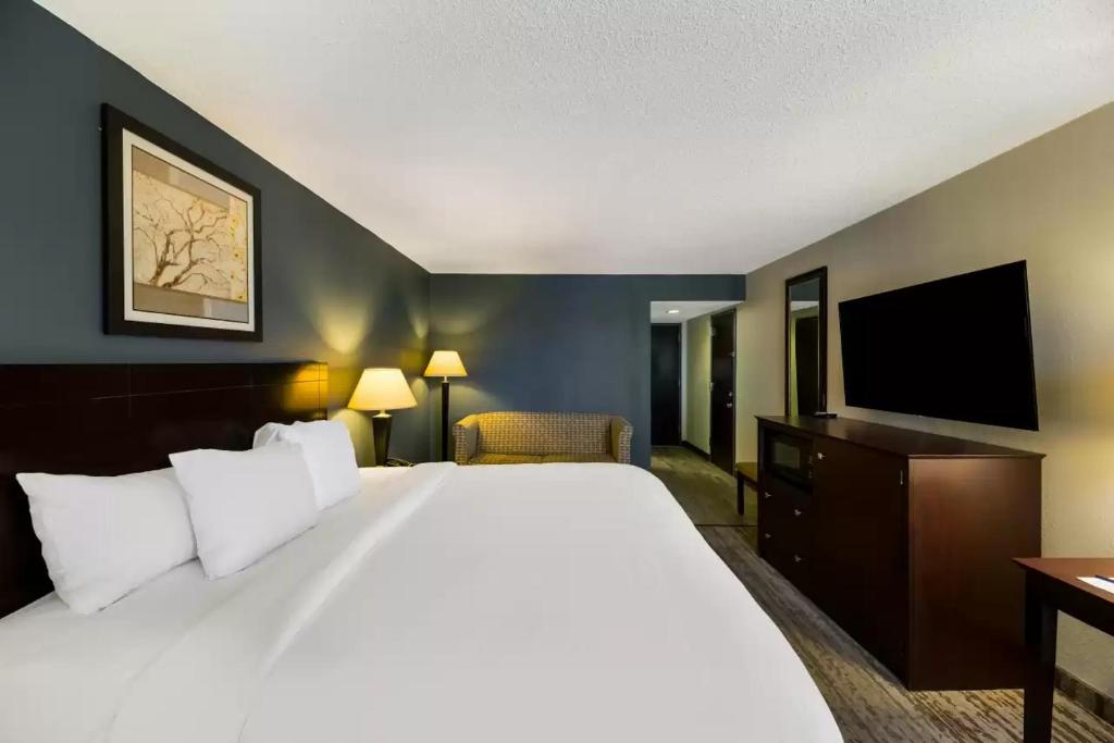 Clarion Hotel San Angelo near Convention Center - King Room - Non-Smoking