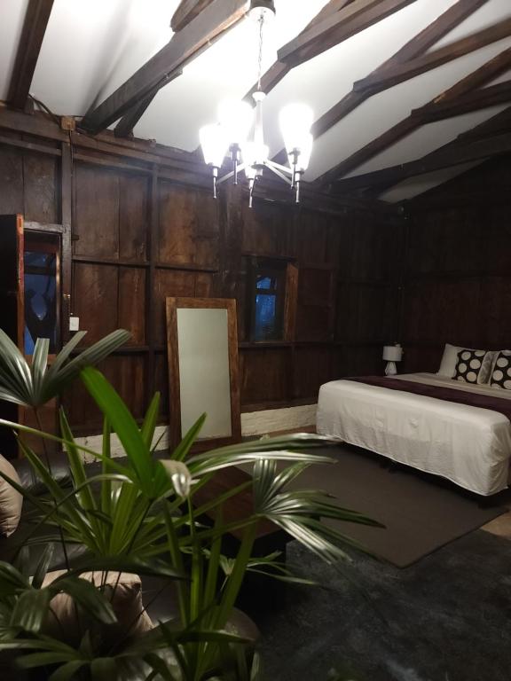 a bedroom with a bed and a potted plant at Bosko cerro verde 