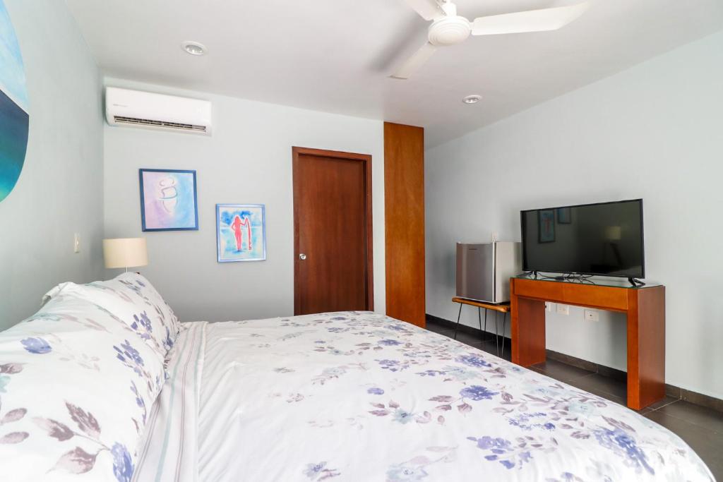 Edificio Maria - 3 Departamentos y 1 Habitación - Junior Suite