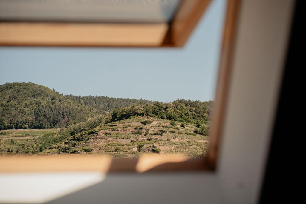 Duplex cosy Le Boho – photo 8