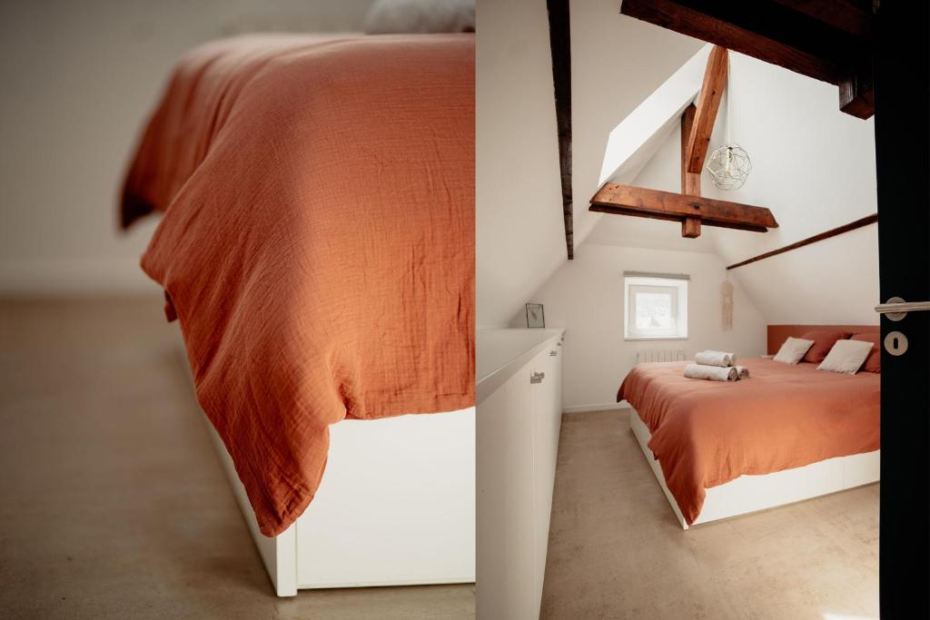 Duplex cosy Le Boho – photo 20