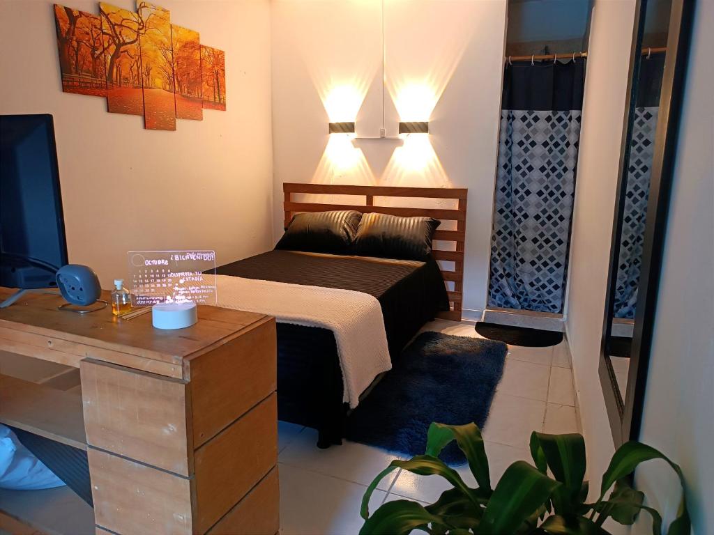 a small bedroom with a bed and a tv at Osimiri apartamento Naturaleza y aventura in San Rafael