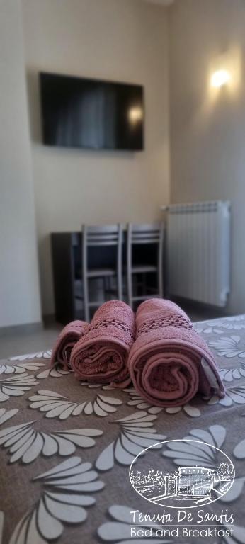 TV a/nebo společenská místnost v ubytování Tenuta De Santis