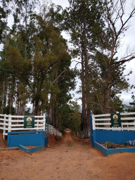 une clôture bleue et blanche sur un chemin de terre arboré dans l'établissement Sitio Café Bela Colina, à Sylvestre Ferraz