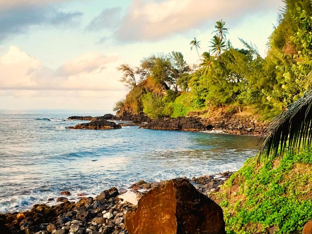 TAHITI - Haumaru Beach Fare - photo 9 - Tahiti, Polynésie