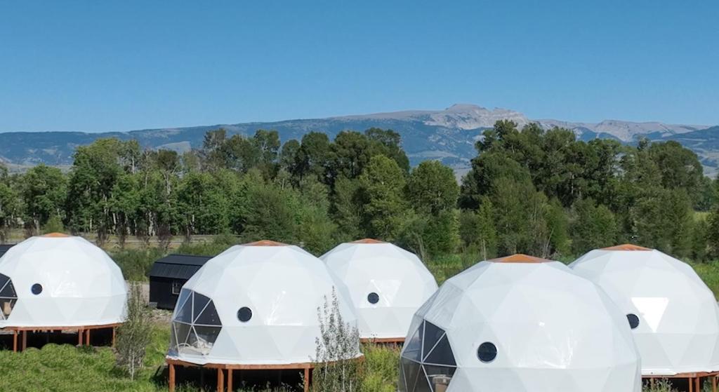 Příroda nedaleko luxury tent