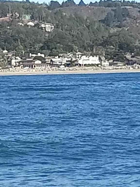 The Oceanfront Stay on MiramarBeach HMB photo