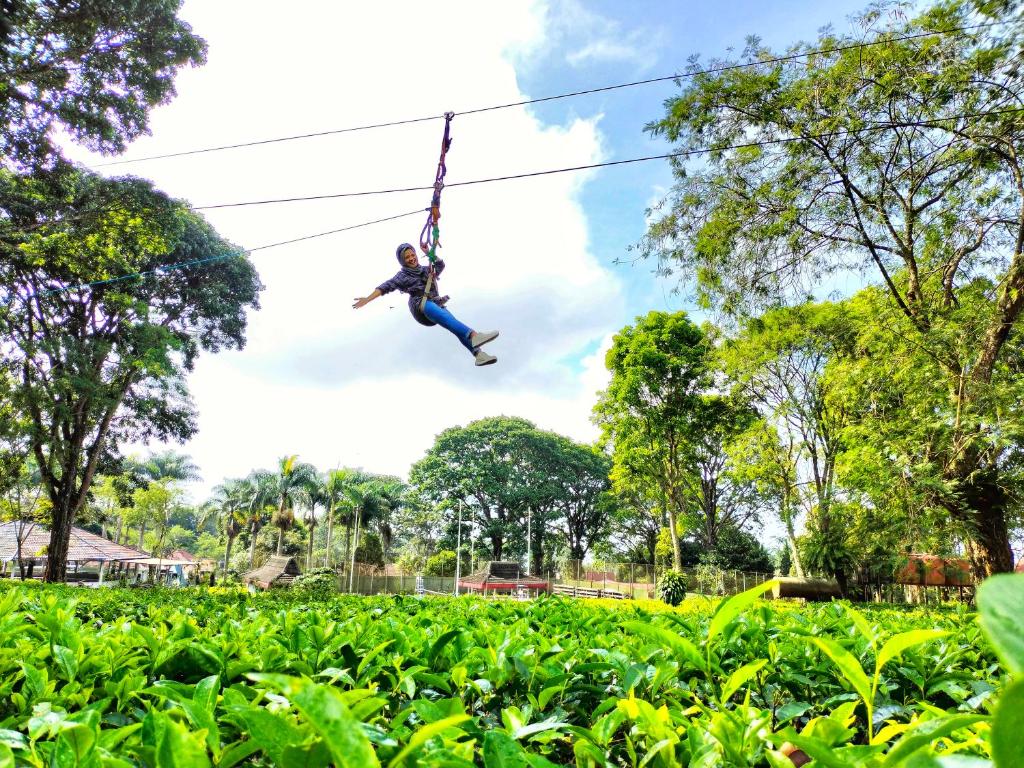 Zahrada ubytování Kebun Teh Wonosari Rollaas Hotel & Resort