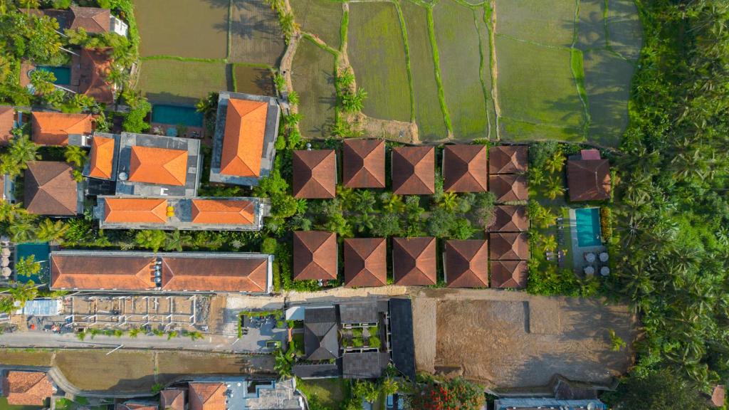 Letecký snímek ubytování Pertiwi Bisma Ubud