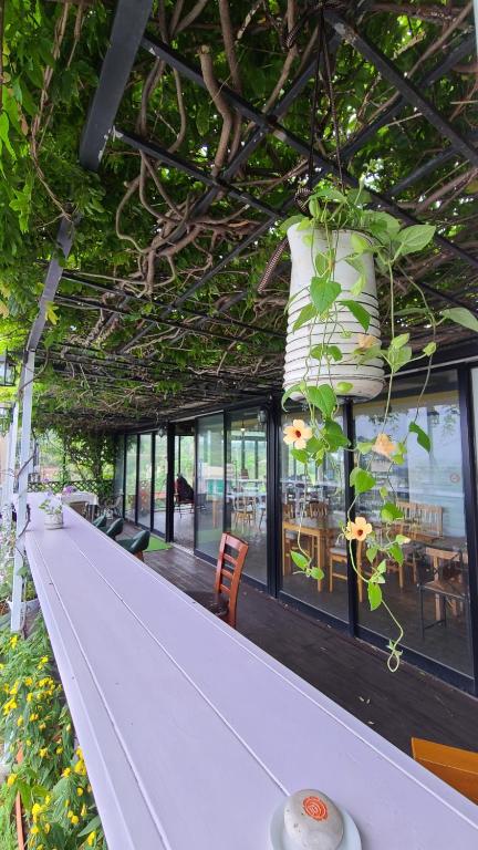 un bar con plantas colgando del techo en JEJU Doldam B&B, en Seogwipo