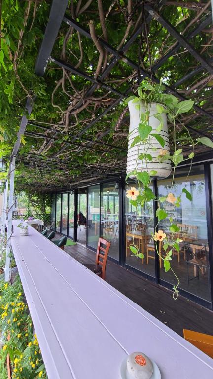 a bar with plants hanging from the ceiling at JEJU Doldam B&B in Seogwipo