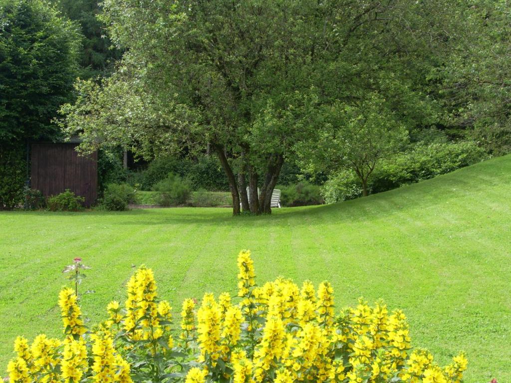 Zahrada ubytování Heidehof Hellenthal