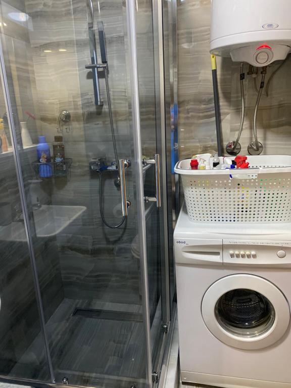 een douche en een wasmachine in de badkamer bij Family Home Niš in Niš