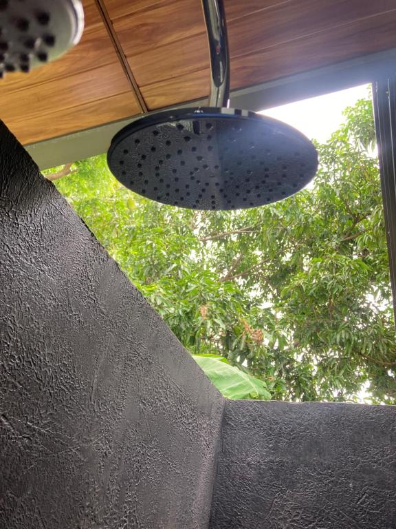 Amba Kola Udawalawa - 3