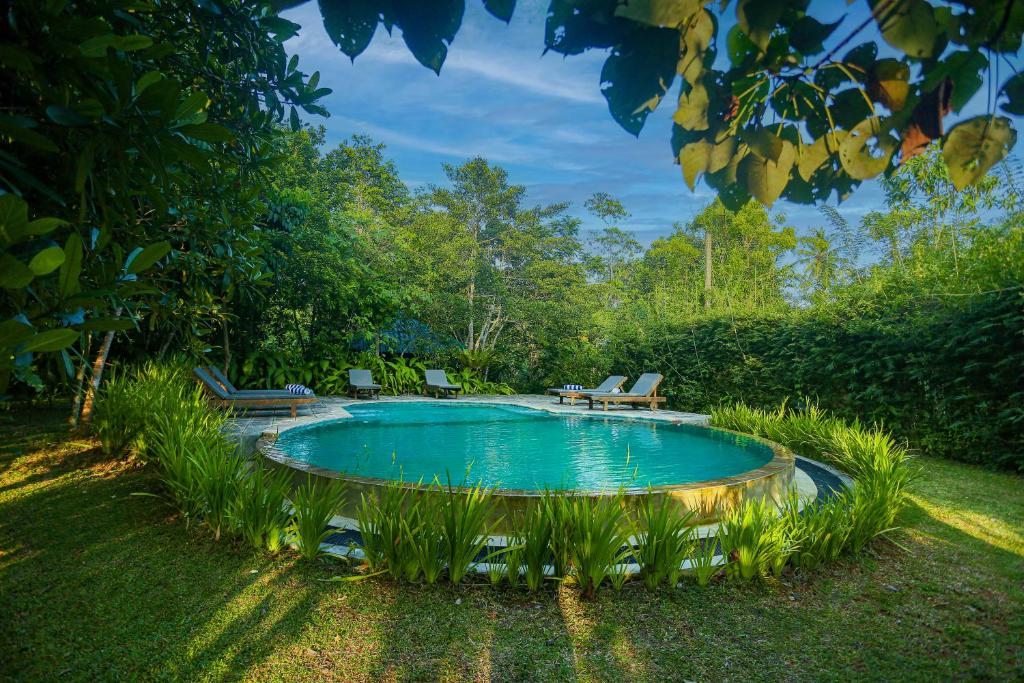 a swimming pool in the middle of a yard at Ilukketiya Tea Chalets in Galle