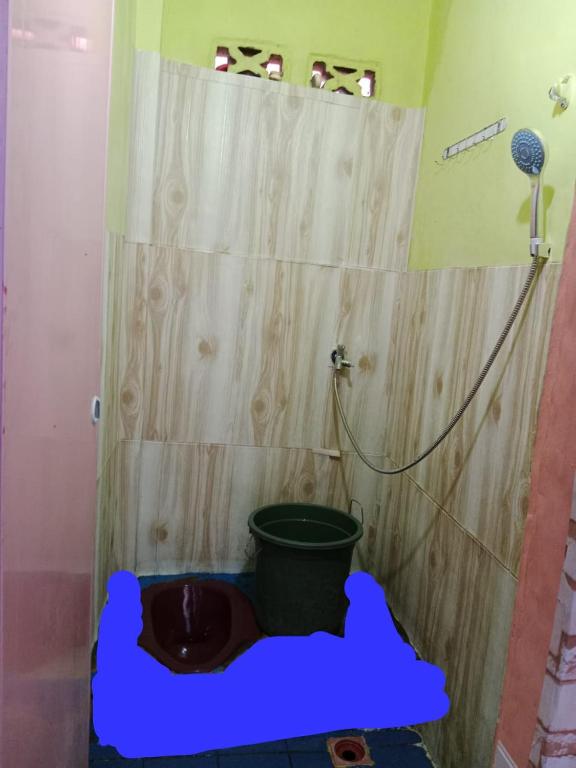 Ustin Nagoya Bukit Lawang Orangutan Trekking & transport only book with us - Camera Doppia Con Bagno Privato