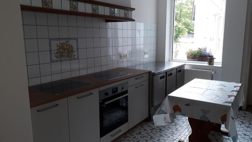 Kuchyň nebo kuchyňský kout v ubytování Villa Franzen