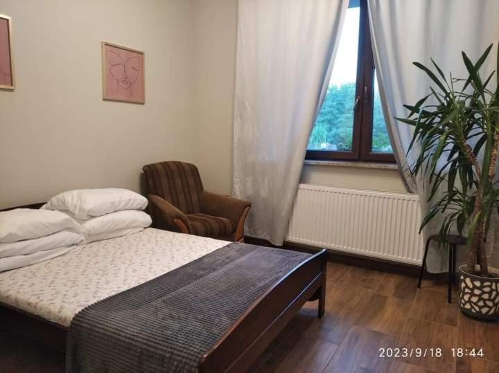 sypialnia z łóżkiem, krzesłem i oknem w obiekcie Hotelik rodzinny 365 pokoje z łazienkami w Łodzi