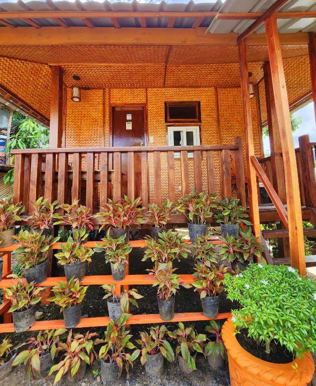 Zahrada ubytování Uno Dus Tourist Inn