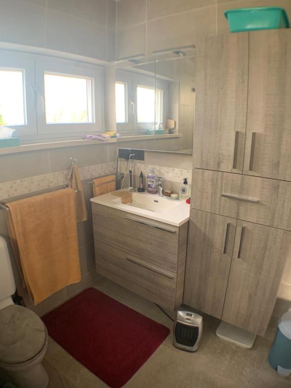 un bagno con lavandino, water e specchio di Chambre dans habitat partagé chez Séverine a Nivelles