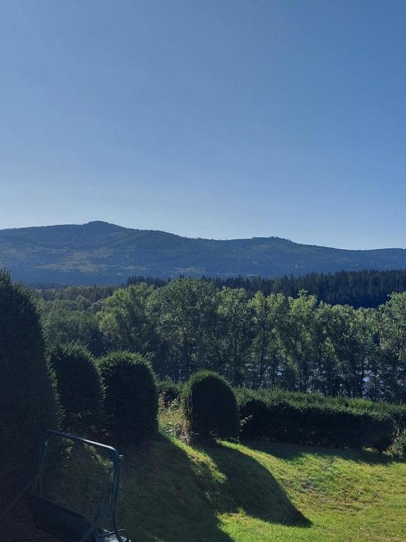 Fotografie z fotogalerie ubytování Vila Lipno v destinaci Horní Planá
