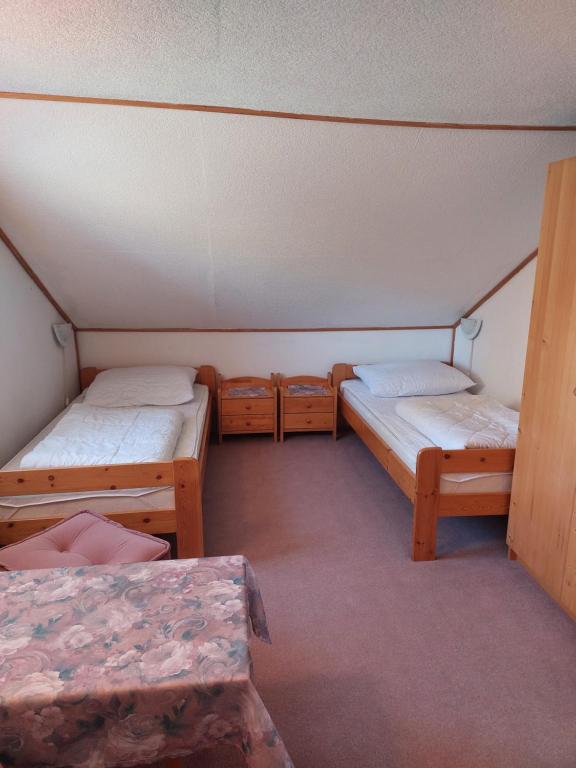 Fotografie z fotogalerie ubytování Vila Lipno v destinaci Horní Planá