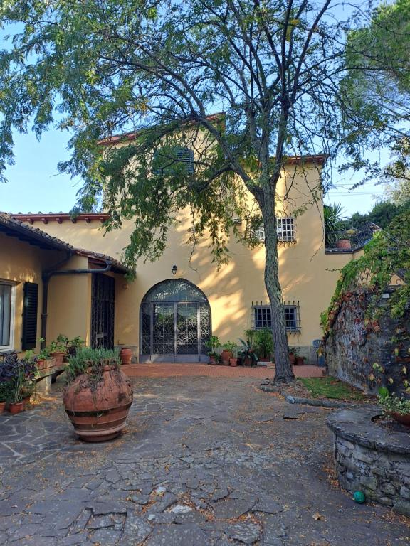 a house with a tree in the front yard at B&B La Dimora di Alida in Fiesole