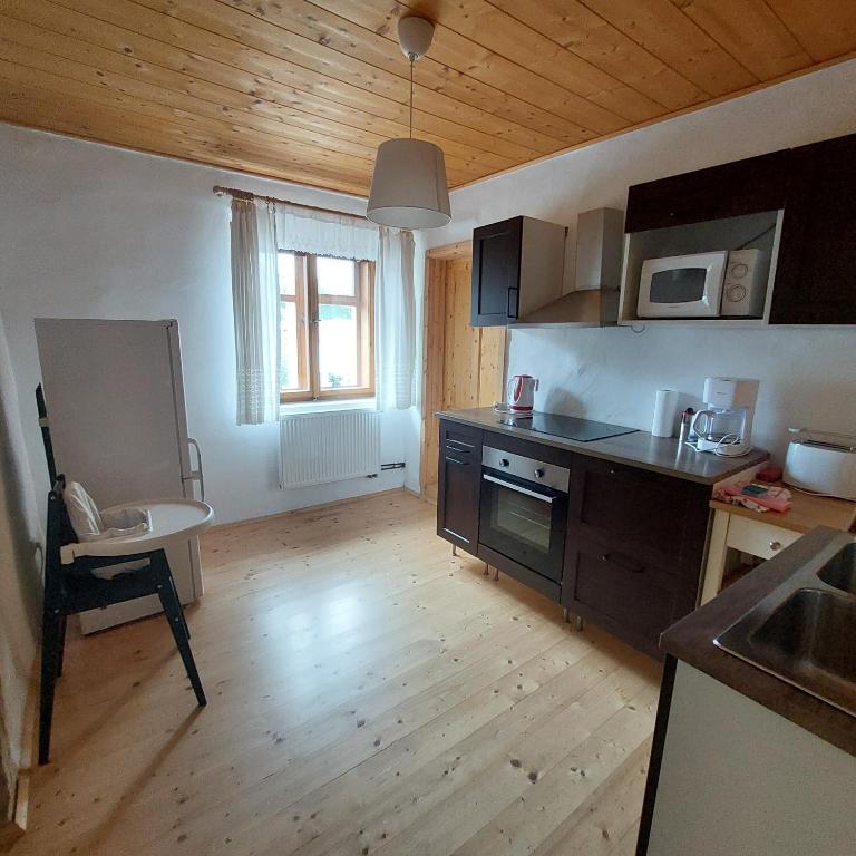 Kuchyň nebo kuchyňský kout v ubytování Apartmány U Tří Sluncí