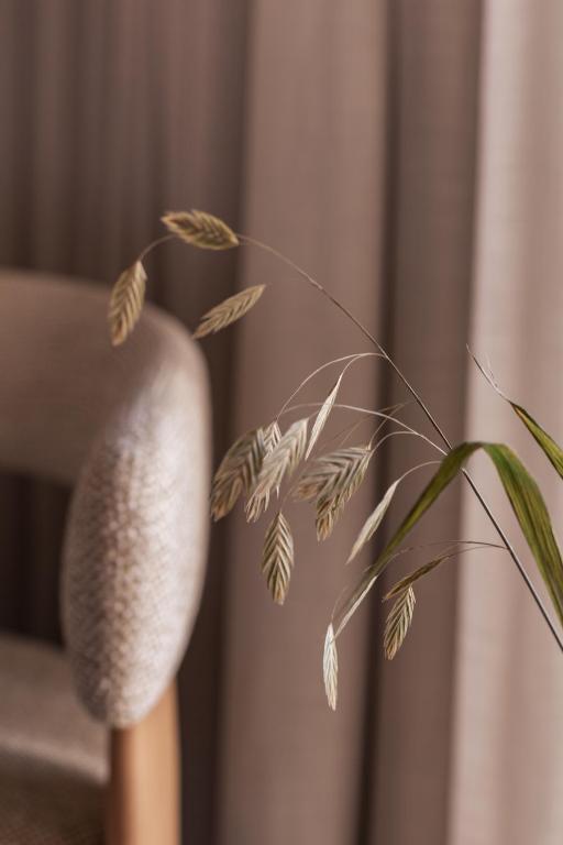 Nobis Hotel Palma, a Member of Design Hotels - Resim 14