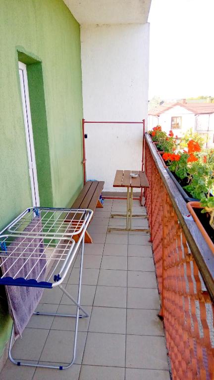 Balkón nebo terasa v ubytování Coffee Hostel