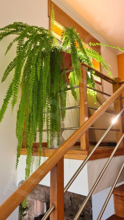 Fotografie z fotogalerie ubytování Casa Ramos v destinaci Póvoa de Varzim