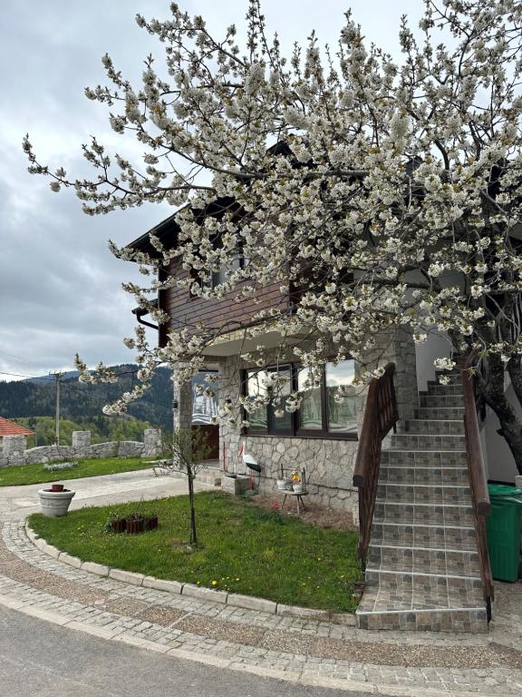 Aed väljaspool majutusasutust Apartmani Dunja Zlatar