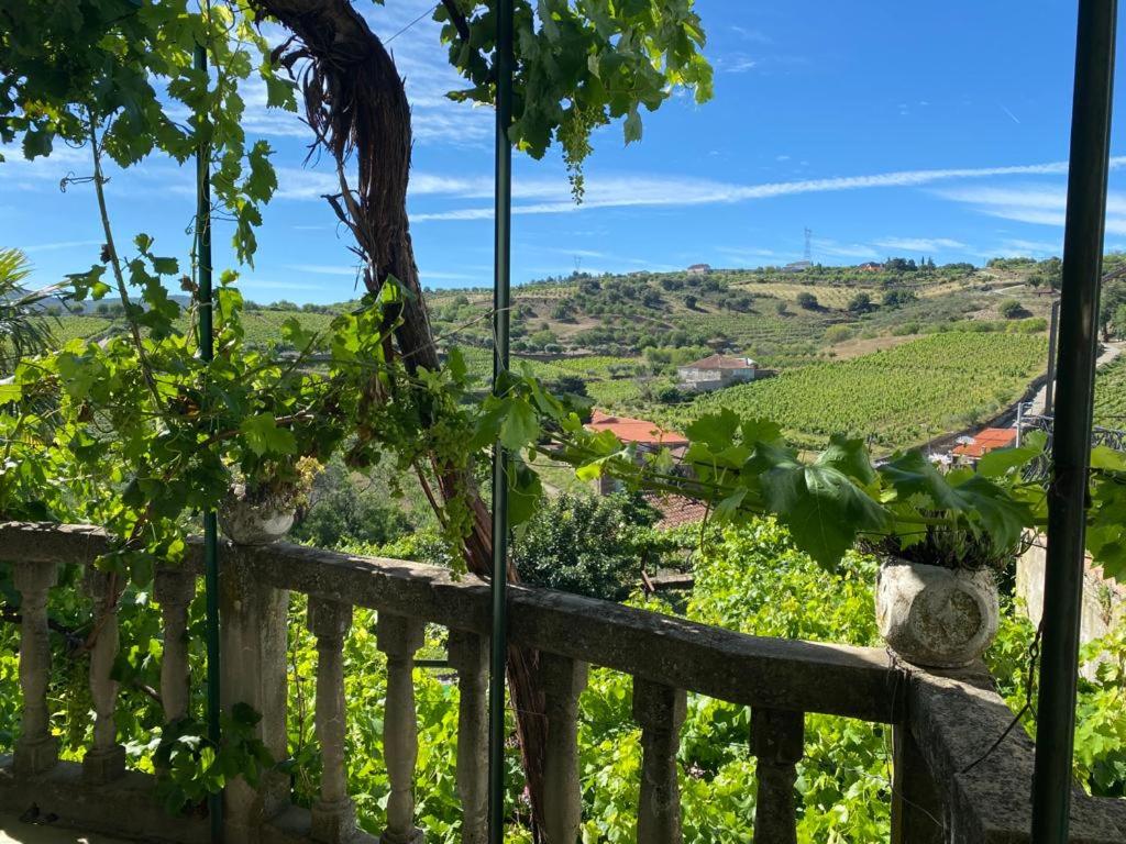vista su un vigneto dal portico di una casa di Casa do Adro - Solar Corte Real - Turismo de Habitação a Vilarouco