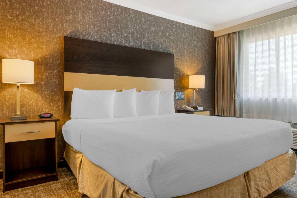 Best Western Los Angeles Worldport Hotel - Camera King - Accesso Disabili