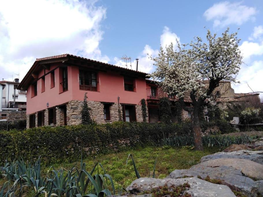 ein Haus auf einem Hügel mit einem Baum davor in der Unterkunft casa Berastegui, experiencia rural en el cidacos in Enciso