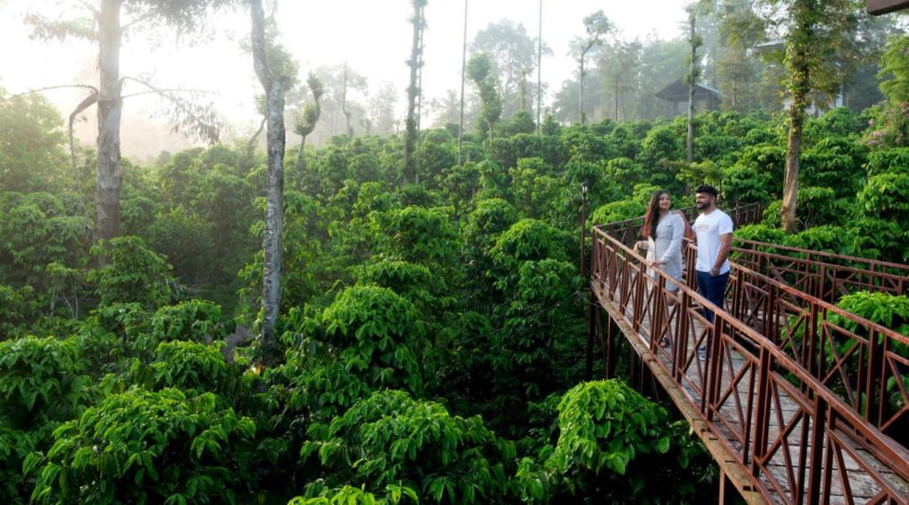 Hosté ubytování Niyatma Wayanad Pool Resort by VOYE HOMES