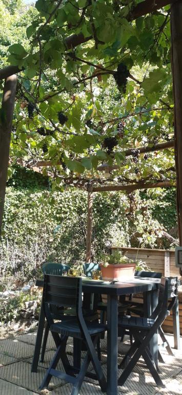 una mesa de picnic y un banco bajo un árbol en Nicolas House, en Campiglia dʼOrcia